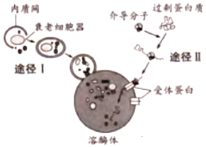 c1685553.png