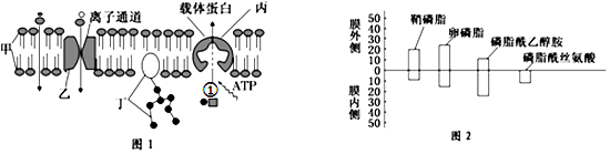 菁優(yōu)網(wǎng)