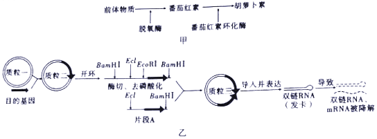 菁優(yōu)網(wǎng)