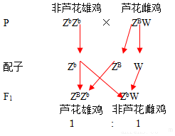 原理等于什么问题_钱加问题等于解决图片(3)