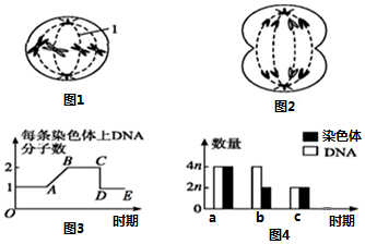 5c210356.png