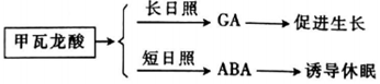 菁優(yōu)網