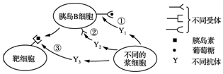 菁優(yōu)網