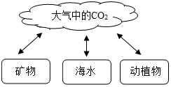 菁優(yōu)網(wǎng)