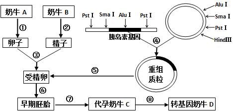 fd925939.png