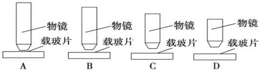 菁优网