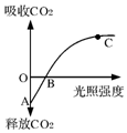 菁優(yōu)網