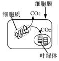 菁優(yōu)網