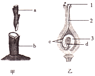 菁優(yōu)網(wǎng)