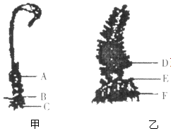 菁優(yōu)網(wǎng)