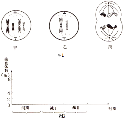 25831b5e.png