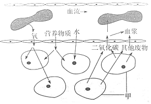 f5794f73.png