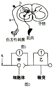 菁優(yōu)網(wǎng)