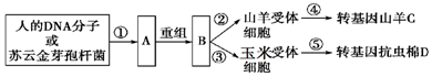 菁優(yōu)網(wǎng)