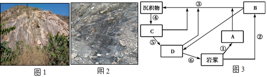 菁優(yōu)網