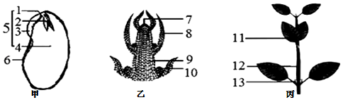 菁優(yōu)網(wǎng)