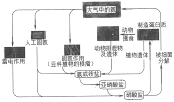 菁優(yōu)網(wǎng)