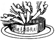 菁優(yōu)網