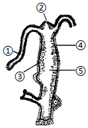 菁優(yōu)網(wǎng)