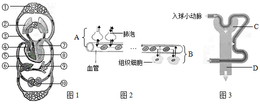 菁優(yōu)網(wǎng)