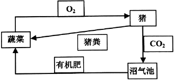 菁優(yōu)網(wǎng)