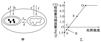 菁優(yōu)網(wǎng)