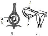 菁優(yōu)網(wǎng)