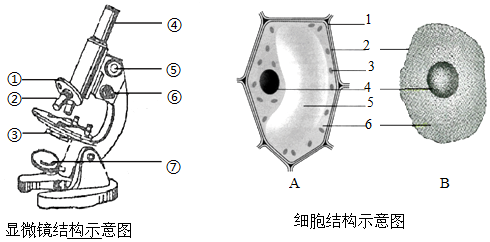 菁優(yōu)網