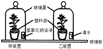 菁優(yōu)網(wǎng)