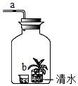 菁優(yōu)網(wǎng)