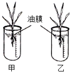 菁優(yōu)網