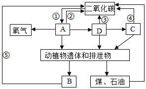 菁優(yōu)網(wǎng)