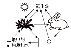 菁優(yōu)網