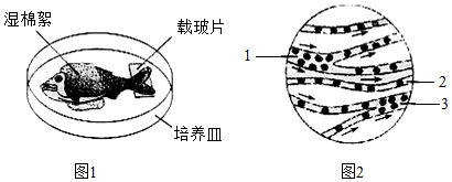 菁優(yōu)網