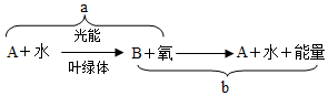 菁優(yōu)網