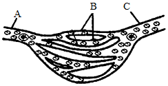 菁優(yōu)網(wǎng)