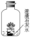 菁優(yōu)網(wǎng)