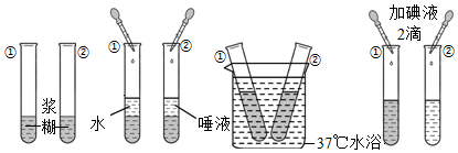 菁優(yōu)網