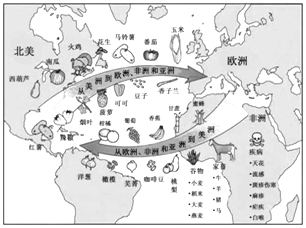 菁優(yōu)網