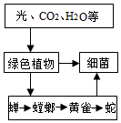 菁優(yōu)網(wǎng)