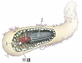 菁優(yōu)網(wǎng)