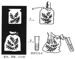 菁優(yōu)網(wǎng)