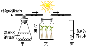 菁優(yōu)網(wǎng)