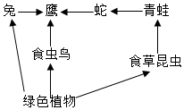 菁優(yōu)網(wǎng)