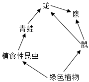 菁優(yōu)網(wǎng)