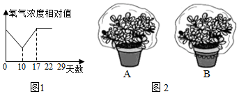 菁優(yōu)網(wǎng)