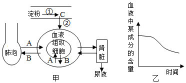 菁優(yōu)網(wǎng)