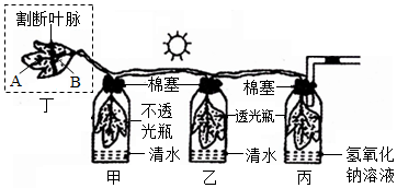 菁優(yōu)網(wǎng)