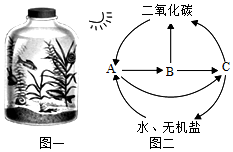 菁優(yōu)網(wǎng)