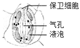 菁優(yōu)網